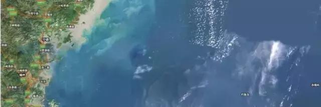 孙悟空为什么被称为悟空,孙悟空是怎么来的在西游记里面