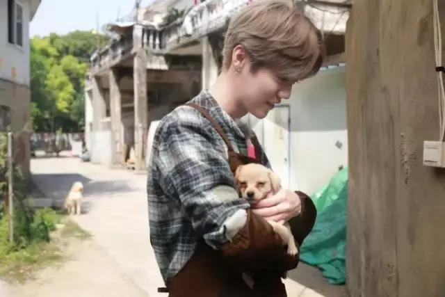 鹿晗约吧大明星谈25岁,鹿晗在节目里说想女朋友