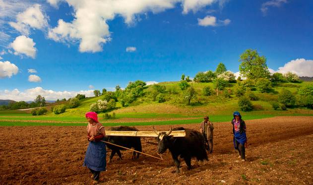 去云南玩两天攻略怎么玩好一点 (云南旅游自由行攻略7天路线推荐)