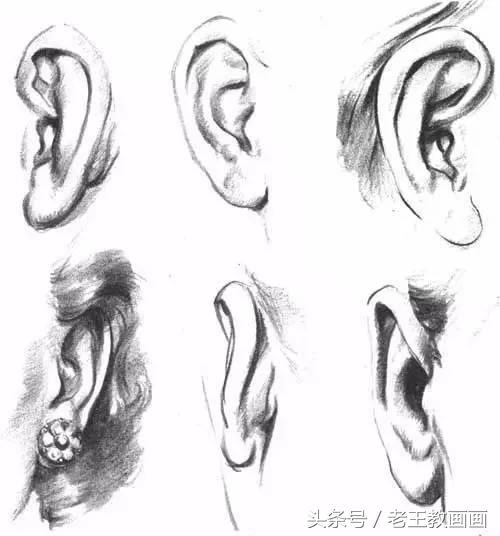 教100个零基础画画小白,零基础自学绘画入门书