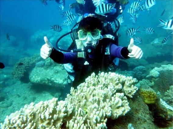 三亚潜水避坑攻略,三亚潜水新技巧