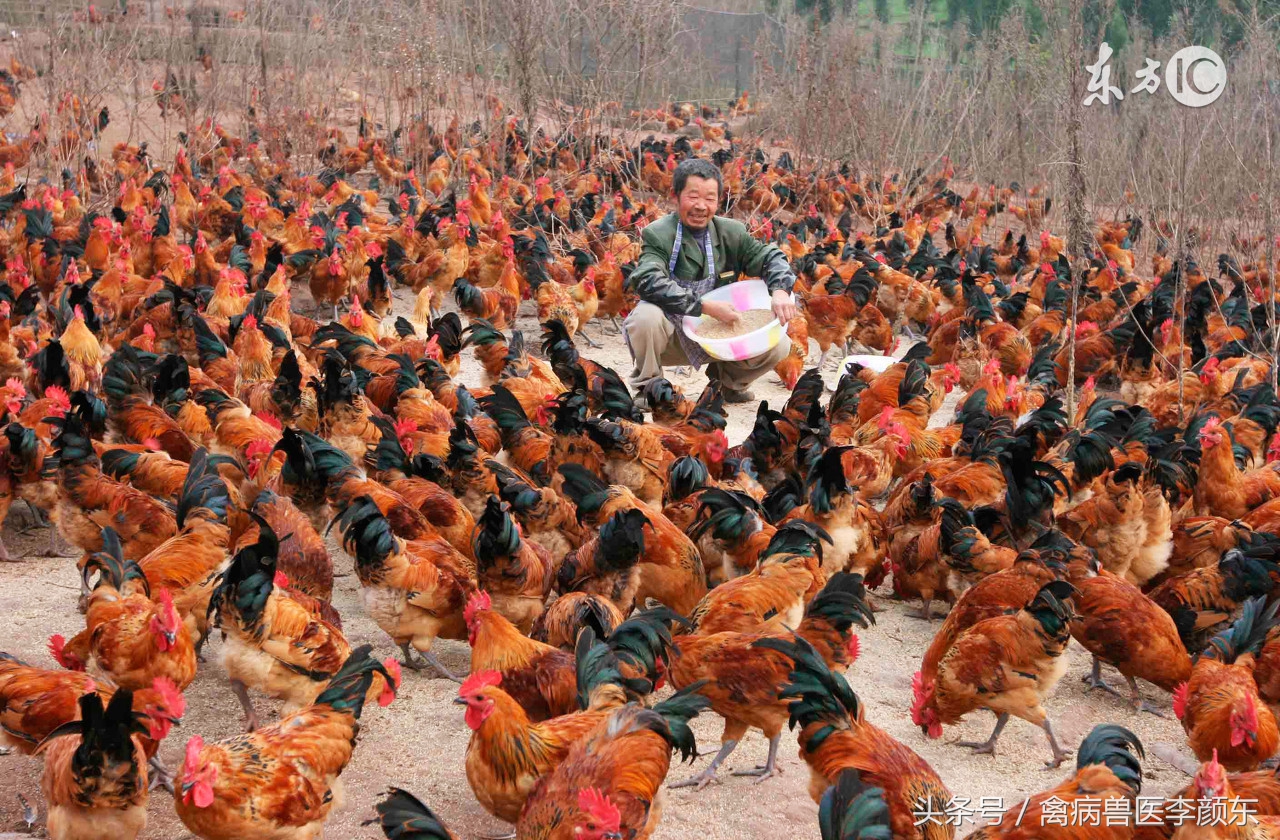 养殖等于闯关、这些关你闯过去了吗？