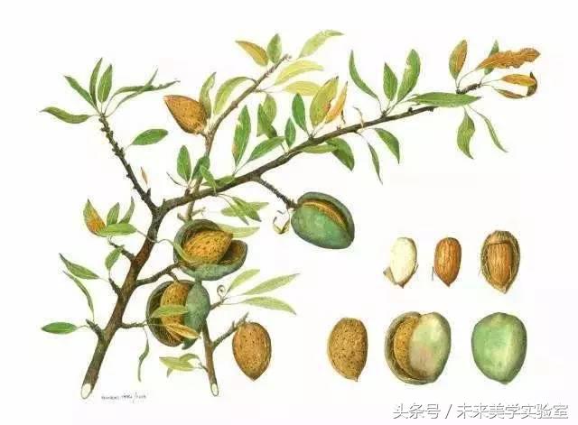 可莱丝面膜和美迪惠尔,可莱丝美迪惠尔面膜舒缓吗