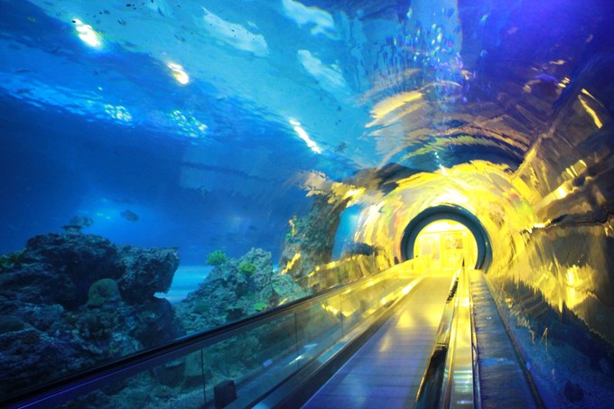 台湾亲子游最佳路线推荐,台湾亲子游十大好去处