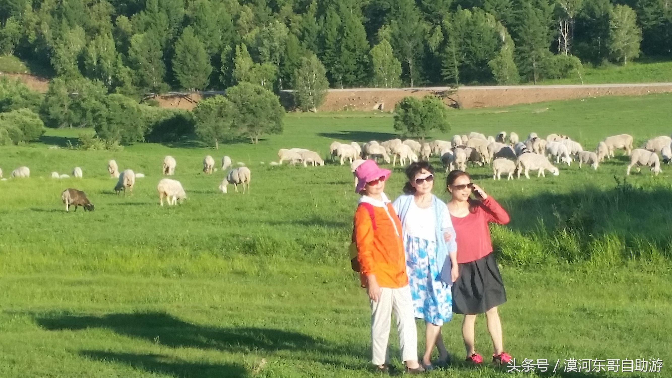 呼伦贝尔漠河旅游攻略夏季,呼伦贝尔漠河环线自由行