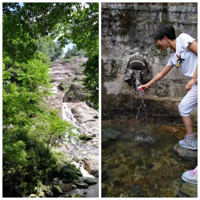 一家三口黄山旅游攻略,带家人去黄山