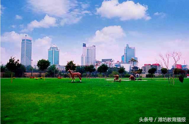 山东省教育最好的地级市,山东省哪个市教育水平最差