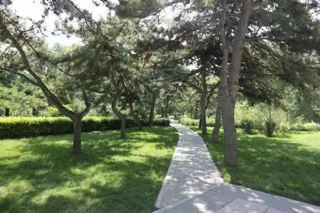 醉美西城｜“城在绿中人在景中”探访绿荫之下的回民区