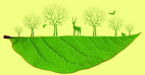 环评工程师工资一般月收入多少,环评工程师月薪