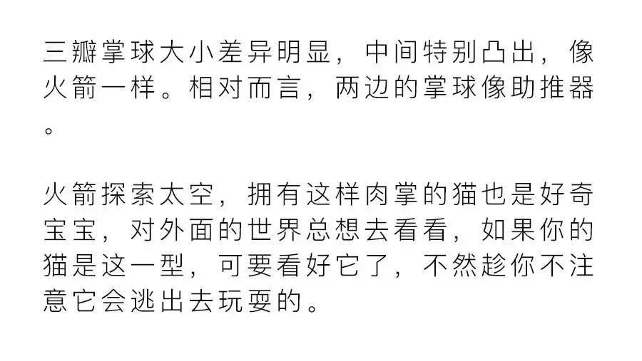 猫爪肉球形状判断猫咪性格,猫咪肉球颜色决定猫咪性格