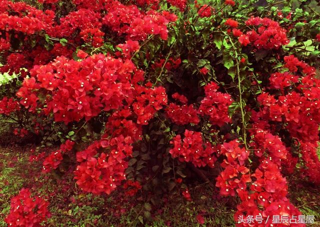 转运最快的小技巧是什么,有什么办法可以转运