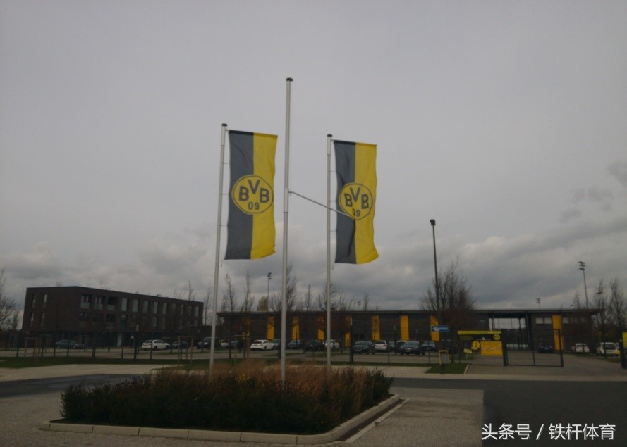 多特蒙德vs威斯特伦法直播,多特蒙德大黄蜂夺冠视频