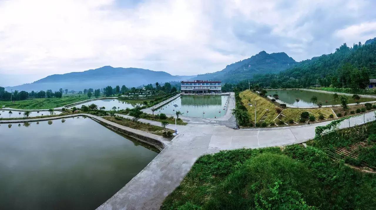 炫炫炫，我们富有的通江，岂能用钱财来衡量