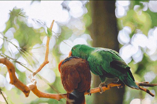 长隆攻略广州长隆欢乐世界攻略,广州长隆最全游玩攻略及费用