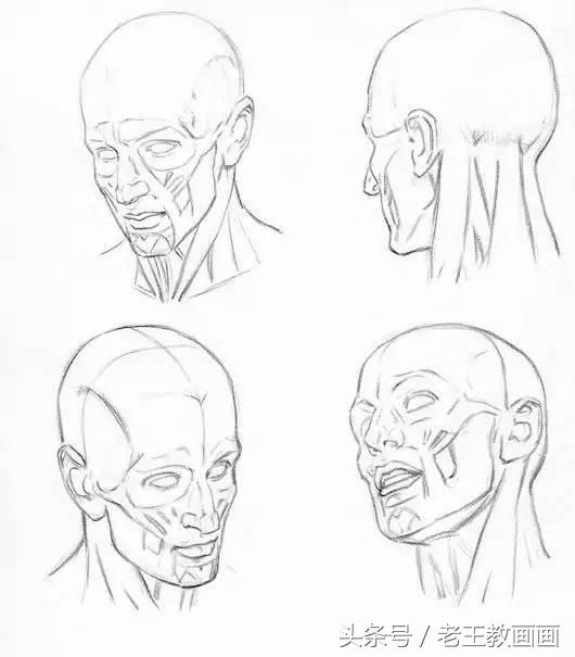 教100个零基础小白画画,100个适合零基础学习的画画教程