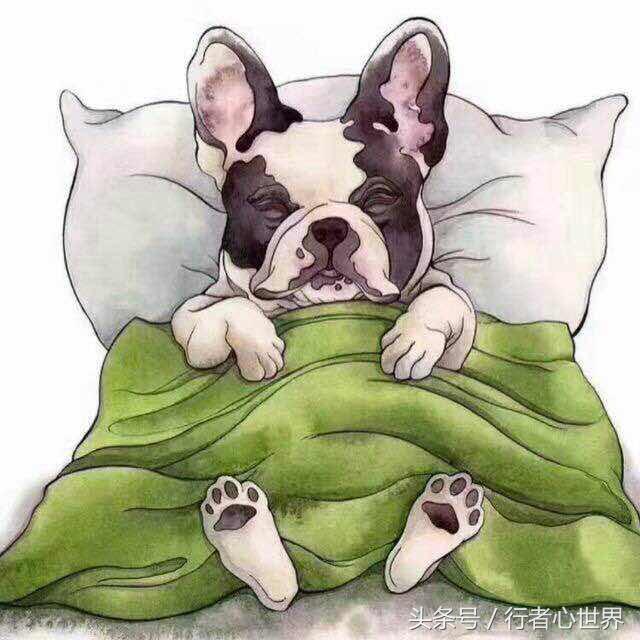 你牛什么牛是哪个小品的,你牛什么牛笑话