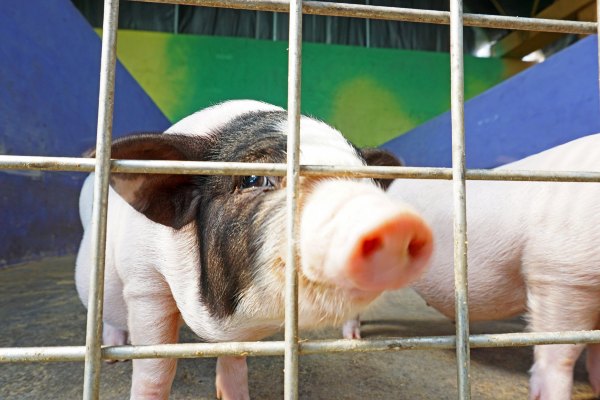浙江嘉善大云旅游,嘉善大云周末玩的地方推荐