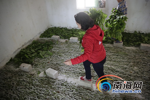 驻村生活vlog,农村驻村扶贫vlog