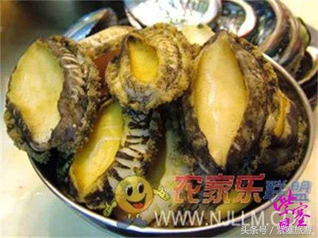 大钦岛渔家乐旅游攻略,紫塞北京农家乐