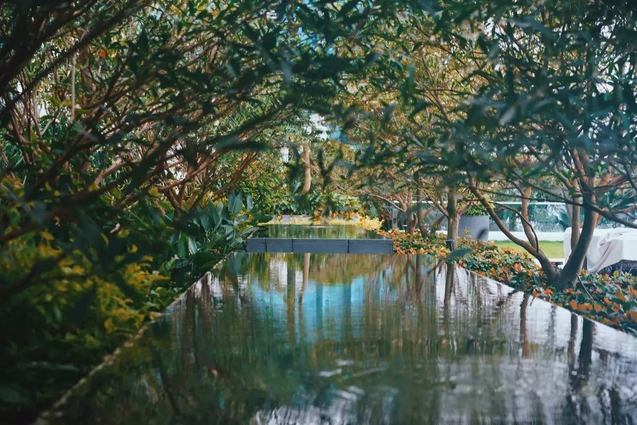 香港九龙洲际酒店,香港皇悦九龙酒店