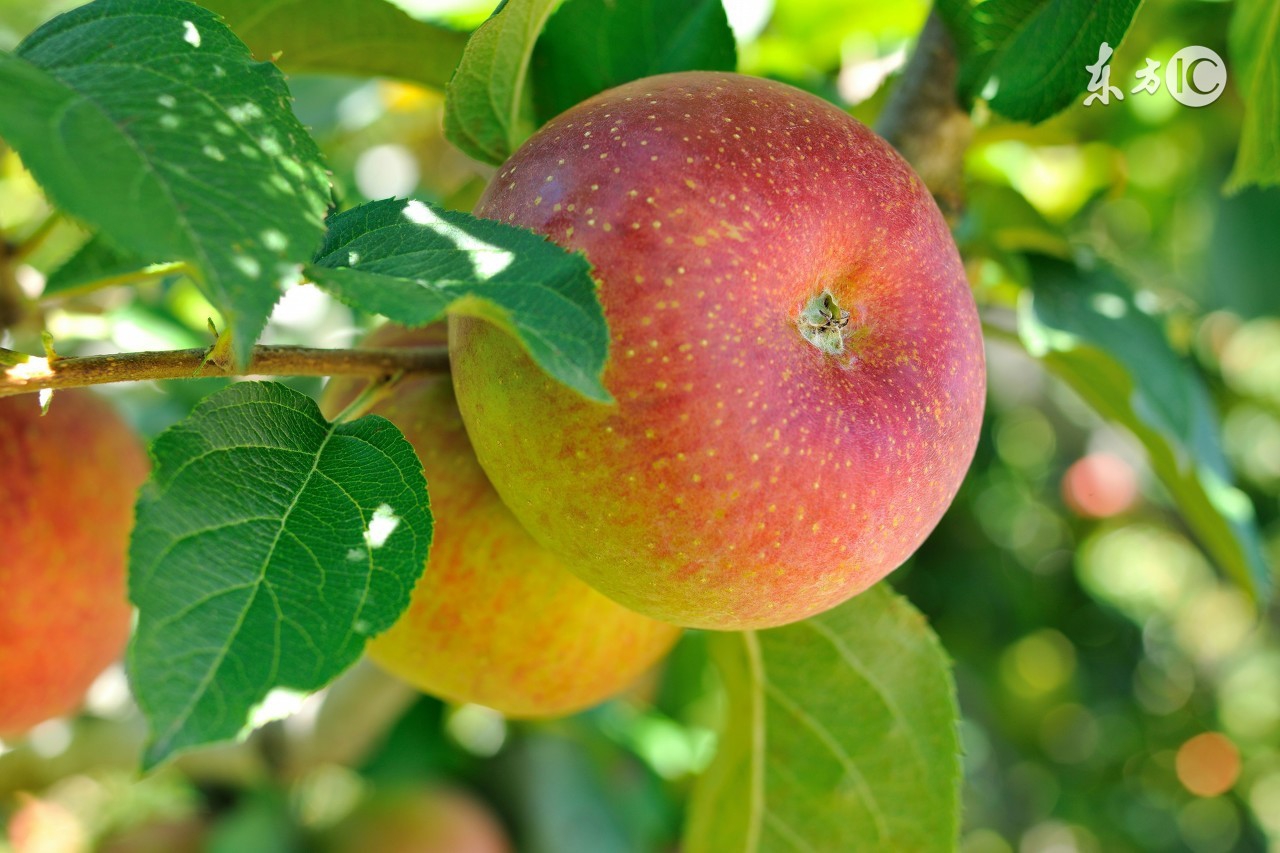 鏁欒偛鍜ㄨ甯堝ソ鍋氬悧,鏁欒偛鍜ㄨ甯堥潬璋卞悧