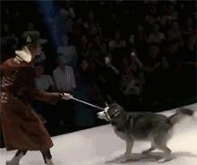 媳妇把酒瓶子放下，别玩了