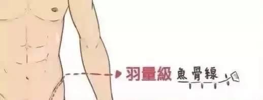 人鱼线等级划分图解,人鱼线等级对照表