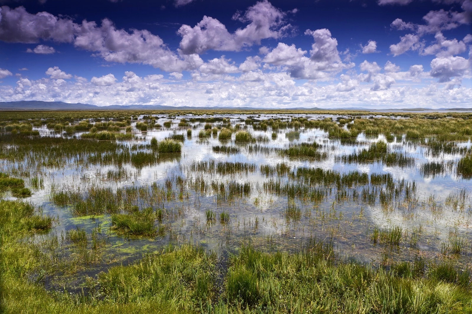 成都热天去哪里旅游最好,成都这么热的天气可以去哪里玩