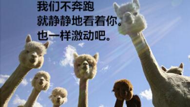 文件还没保存就退出来怎么办,文件还没有保存就退出如何修复