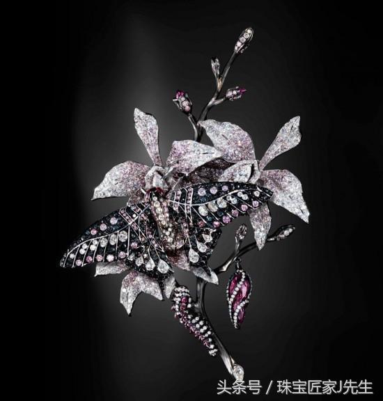 黑暗木乃伊鬼魅,骷髅幽灵木乃伊