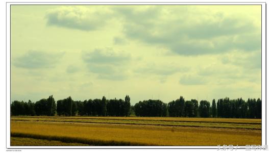 散文概念的本义,散文的含义及特点的讲解