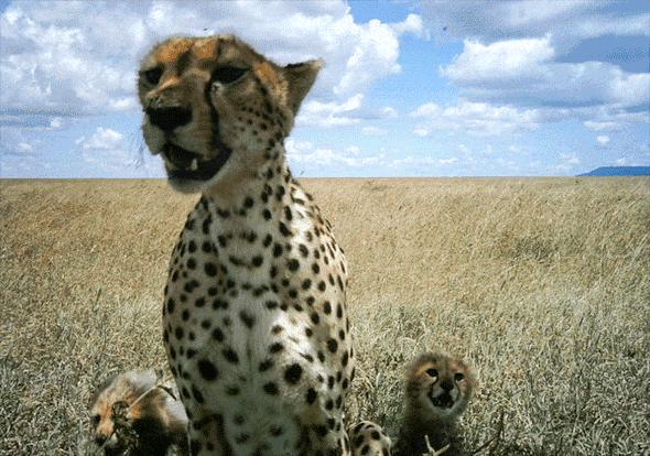 摩洛哥旅游攻略详细图片高清,摩洛哥卡萨布兰卡应该去的地方