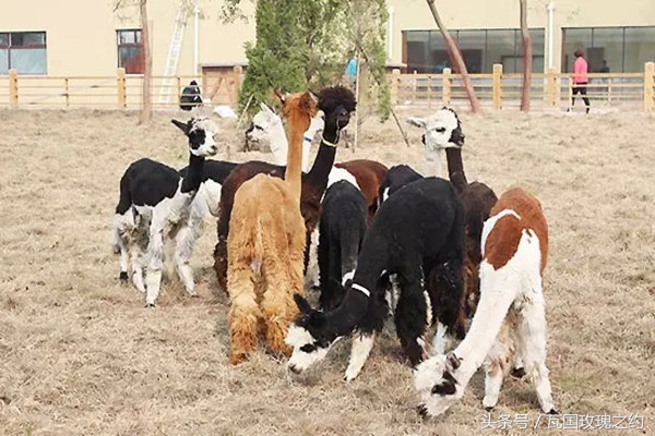 孩子放假都要去哪里玩水上乐园,放假了带孩子去水上乐园