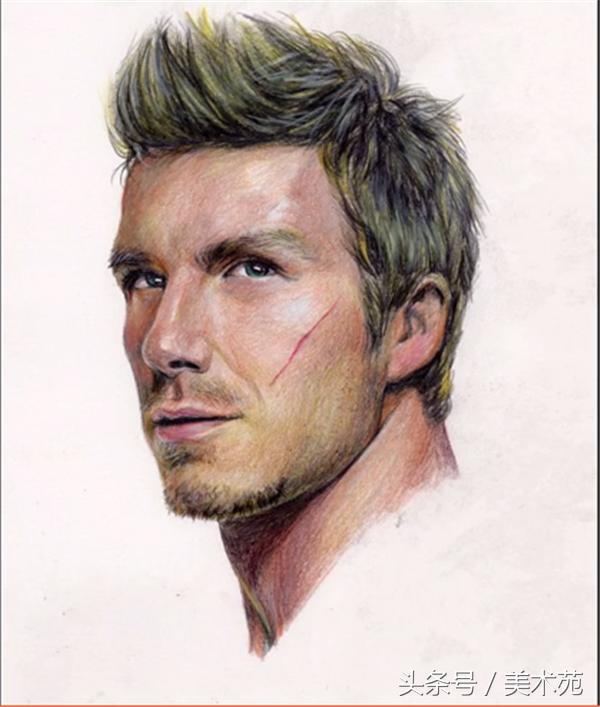 怎么画贝克汉姆,彩铅画教程简单初学者向日葵
