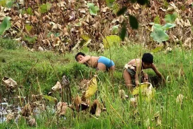 姝︽眽浜虹殑澶忓ぉ鎰熷彈,姝︽眽浜虹殑澶忓ぉ鏄粈涔堟牱瀛愮殑