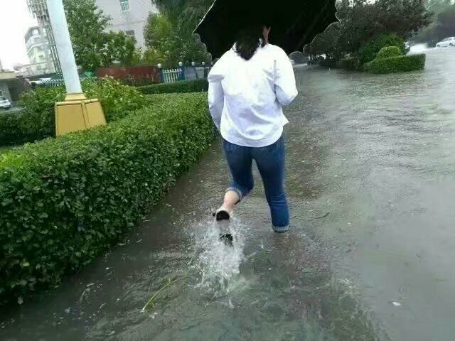 老百姓眼中的“最美准妈妈”——记安新镇组织委员张一冰