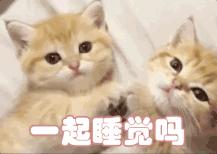 年轻女人脸上长痘是什么原因,长痘证明你还年轻