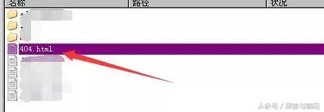 黑客钓鱼网站,黑客追查钓鱼网站