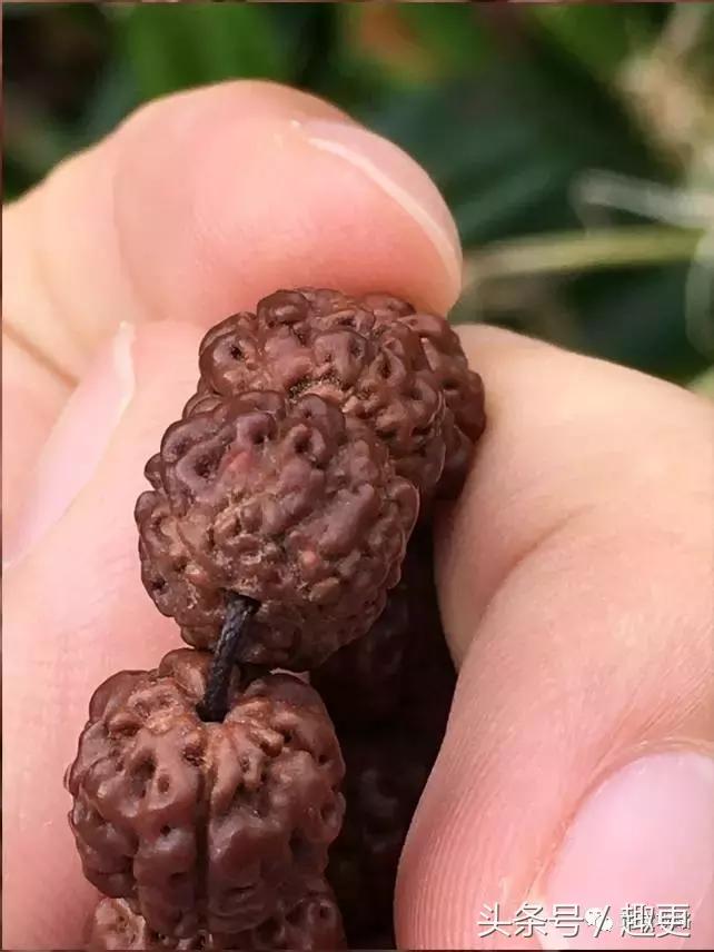 金刚后期发黑怎么办,金刚有什么办法让它变红