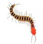 宝宝被虫咬了用什么药膏,宝宝手被虫咬了肿得很厉害