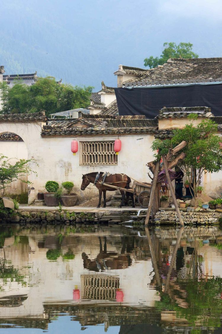 发现一个世外桃源的地方真美,有一处叫世外桃源的地方