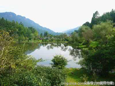 散文概念的本义,散文的含义及特点的讲解