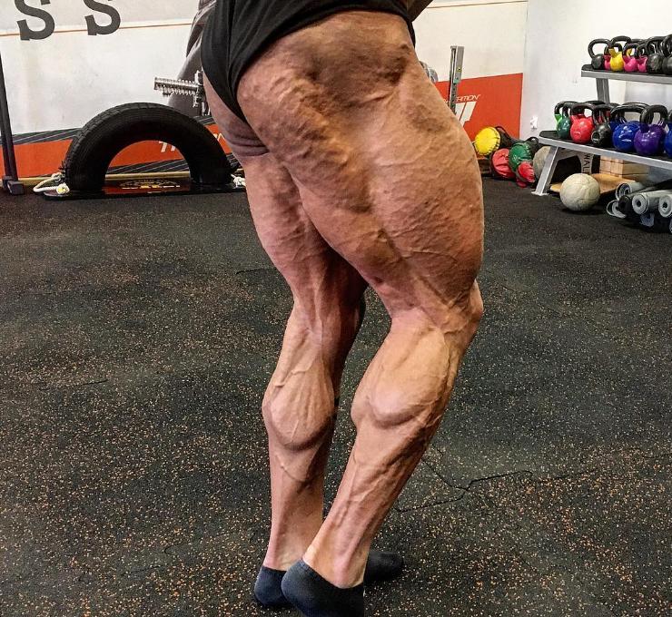 腿部肌肉分布图练腿,o型腿锻炼哪些肌肉群