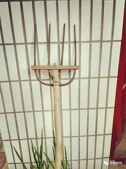 庆阳周祖农耕文化,庆阳周祖农耕文化图片