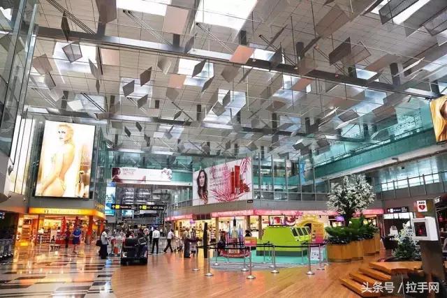 干货分享贴标签流程,机场免税店购物最全攻略