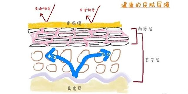 luna洗脸仪真的洗得干净吗,luna洁面仪起了小黑点怎么清洁