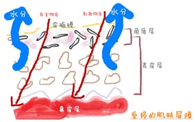 luna洁面仪清洁方法,清洗luna洁面仪