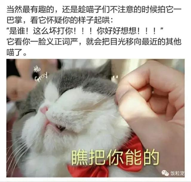 浜戝吇鐚殑鐥涚偣,浜戝吇鐚繃绋嬮亣鍒扮殑闅鹃