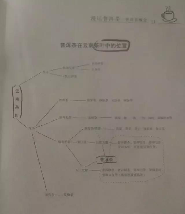 关于普洱茶知识以及口感的书籍,茶语百科解析普洱熟茶