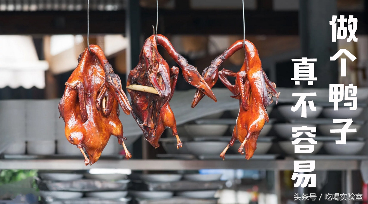 口述：真实*鸭做**子的血泪日记